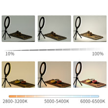 Charger l'image dans la galerie, ANNEAU LUMINEUX LED 16cm AVEC TRÉPIED 6 POUCES