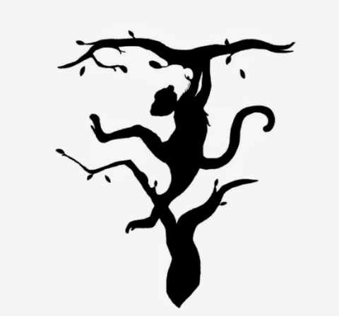 WHAT YOU WILL SEE FIRST IN THIS PICTURE SAY A LOT ABOUT YOUR PERSONALITY