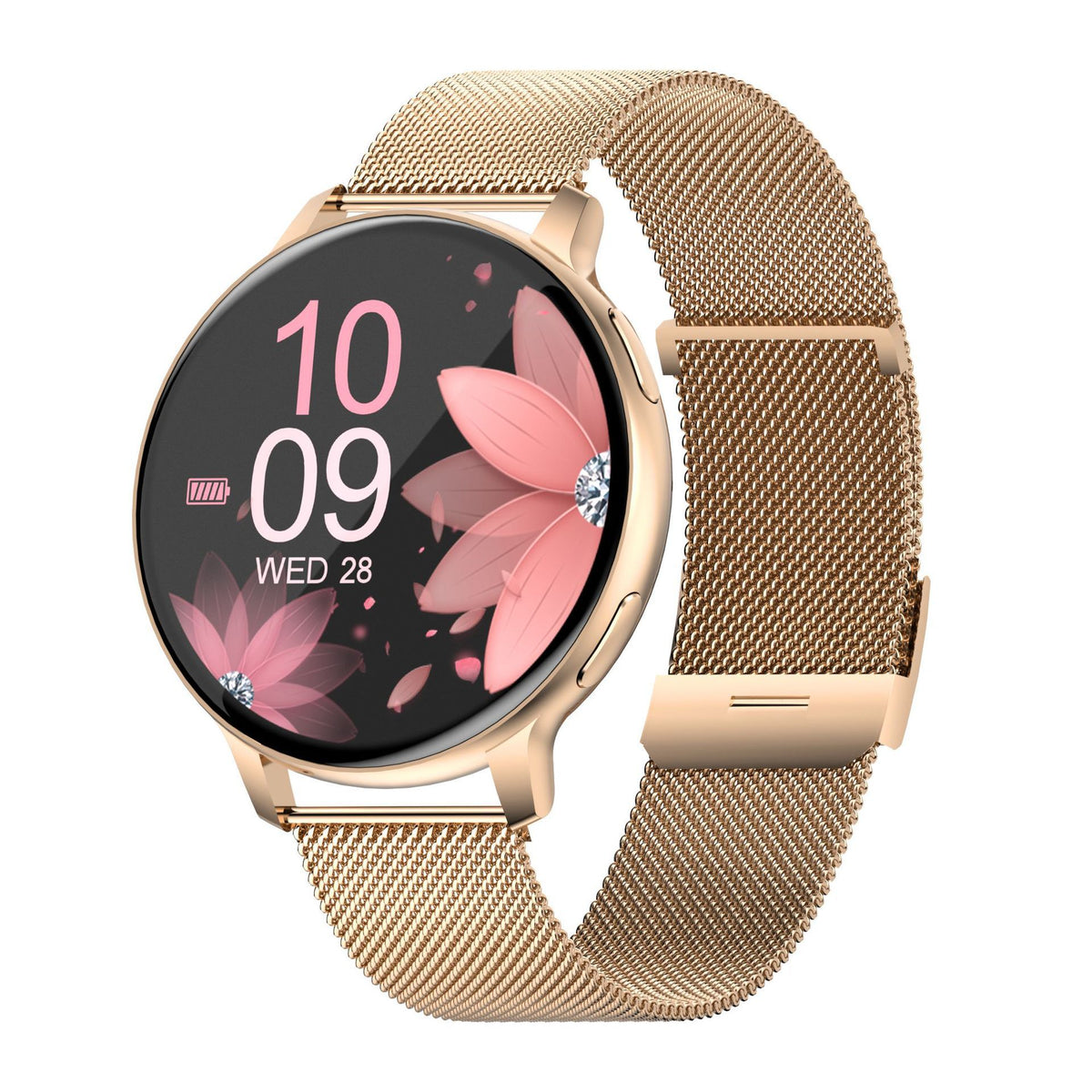 Montre connectée S53 avec écran TFT et bracelets au choix