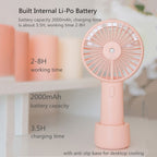 PORTABLE ELECTRIC WATER JET FAN