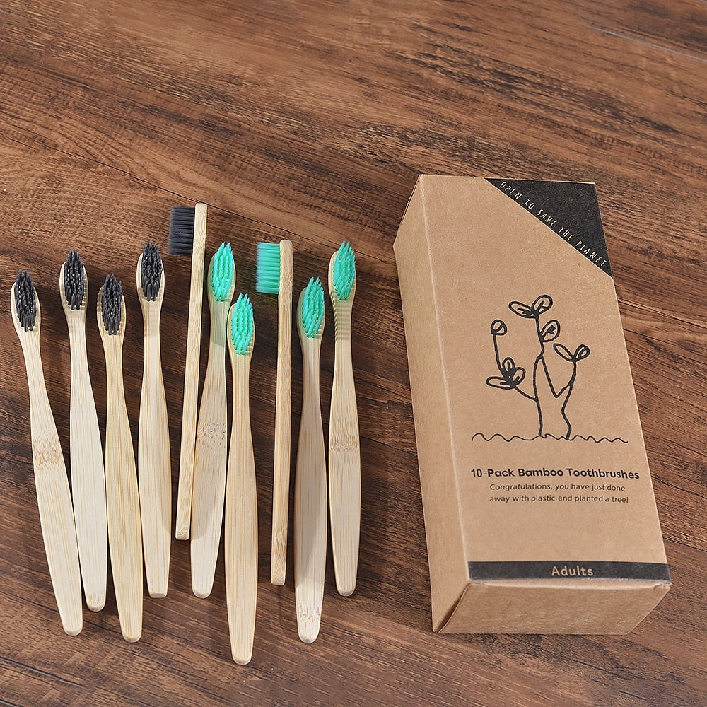 BROSSE A DENTS ÉCOLOGIQUE EN BAMBOU (10 pièces )