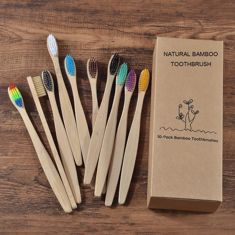 BROSSE A DENTS ÉCOLOGIQUE EN BAMBOU (10 pièces )