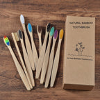 BROSSE A DENTS ÉCOLOGIQUE EN BAMBOU (10 pièces )