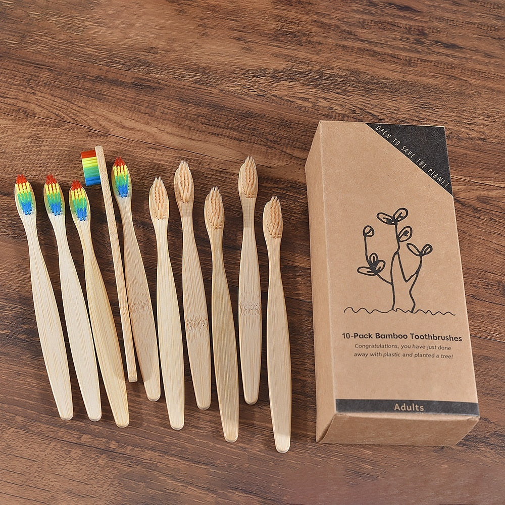 BROSSE A DENTS ÉCOLOGIQUE EN BAMBOU (10 pièces )