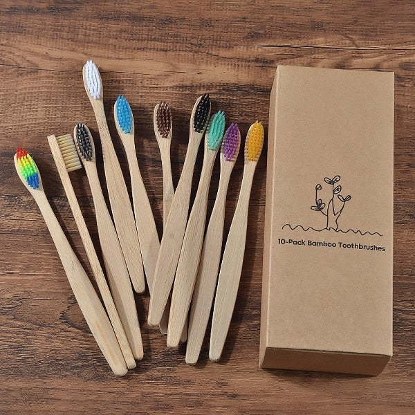 BROSSE A DENTS ÉCOLOGIQUE EN BAMBOU (10 pièces )