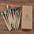 BROSSE A DENTS ÉCOLOGIQUE EN BAMBOU (10 pièces )