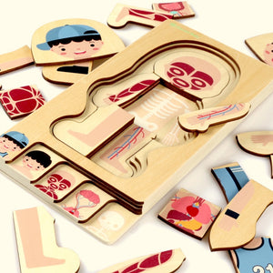 WOODEN BODY STRUCTURE PUZZLE 