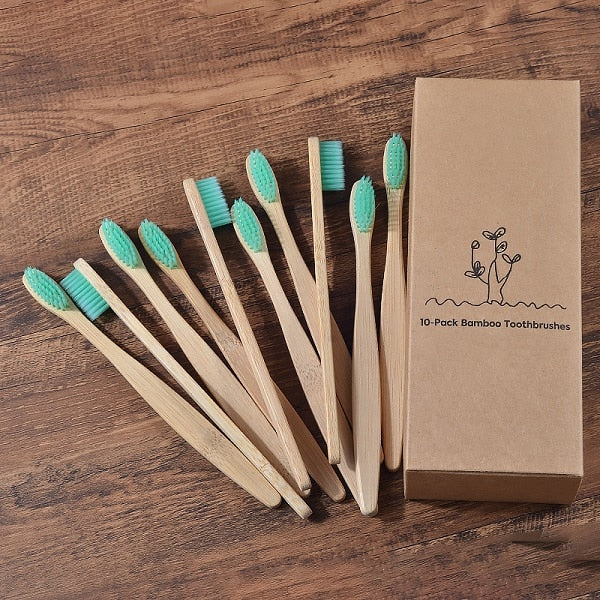 BROSSE A DENTS ÉCOLOGIQUE EN BAMBOU (10 pièces )