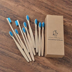 BROSSE A DENTS ÉCOLOGIQUE EN BAMBOU (10 pièces )