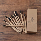 BROSSE A DENTS ÉCOLOGIQUE EN BAMBOU (10 pièces )
