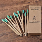BROSSE A DENTS ÉCOLOGIQUE EN BAMBOU (10 pièces )