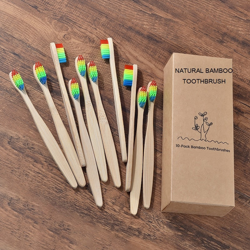 BROSSE A DENTS ÉCOLOGIQUE EN BAMBOU (10 pièces )