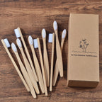 BROSSE A DENTS ÉCOLOGIQUE EN BAMBOU (10 pièces )