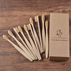 BROSSE A DENTS ÉCOLOGIQUE EN BAMBOU (10 pièces )