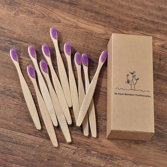 BROSSE A DENTS ÉCOLOGIQUE EN BAMBOU (10 pièces )
