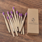BROSSE A DENTS ÉCOLOGIQUE EN BAMBOU (10 pièces )