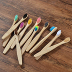 BROSSE A DENTS ÉCOLOGIQUE EN BAMBOU (10 pièces )