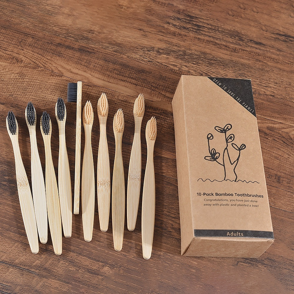 BROSSE A DENTS ÉCOLOGIQUE EN BAMBOU (10 pièces )