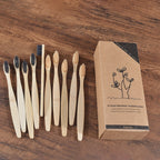BROSSE A DENTS ÉCOLOGIQUE EN BAMBOU (10 pièces )