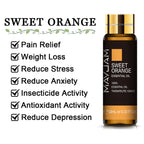 HUILES ESSENTIELLES PURES 10ML - lavande Eucalyptus - BOSSOUASHOP