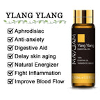 HUILES ESSENTIELLES PURES 10ML - lavande Eucalyptus - BOSSOUASHOP