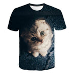 SHORT SLEEVE T-SHIRT 